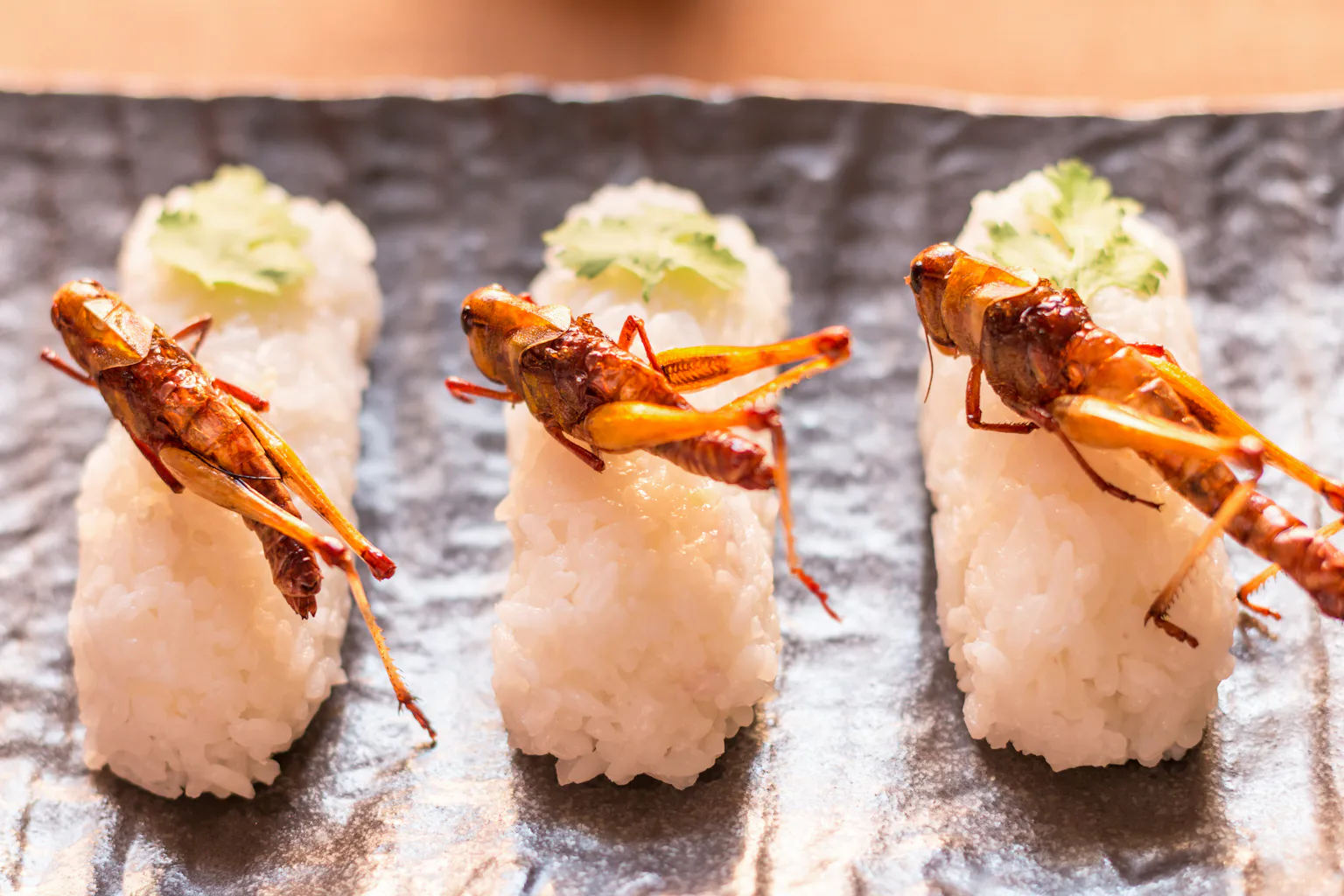 Insect Minced Meat Fried, steamed or toasted: here are the best ways to cook insects