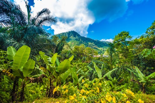 Madagascar Fear And Violence Making Rainforest Conservation More