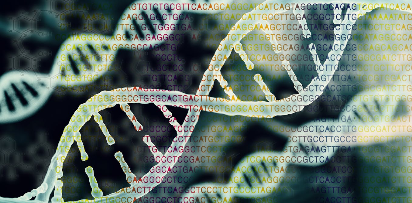 Record For Decoding The Longest Dna Sequence Is Impressive Here S What To Expect Next