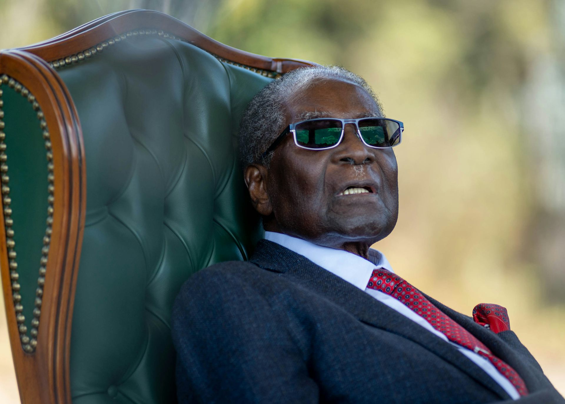 Zimbabwe Minus Mugabe: Two Books On His Fall And Mnangagwa's Rise