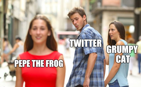 Pepe The Frog News Research And Analysis The Conversation