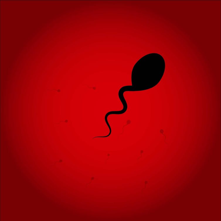 File 20181213 178579 385863.jpg?ixlib=rb 1.1