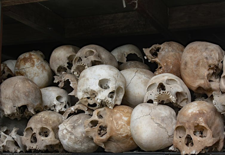 File 20181217 185258 1edisbj.jpg?ixlib=rb 1.1