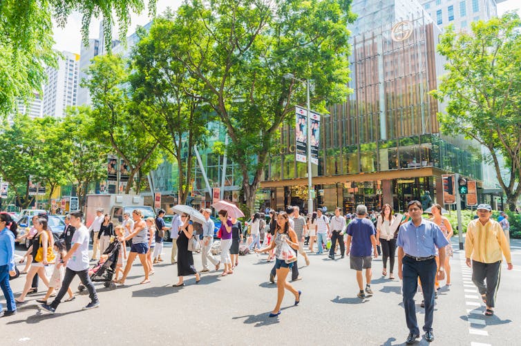 Stockforlife/Shutterstock. File 20181219 45388 vuhixq.jpg?ixlib=rb 1.1