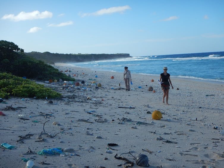 Forget sharks... here's why you are more likely to be injured by litter at the beach