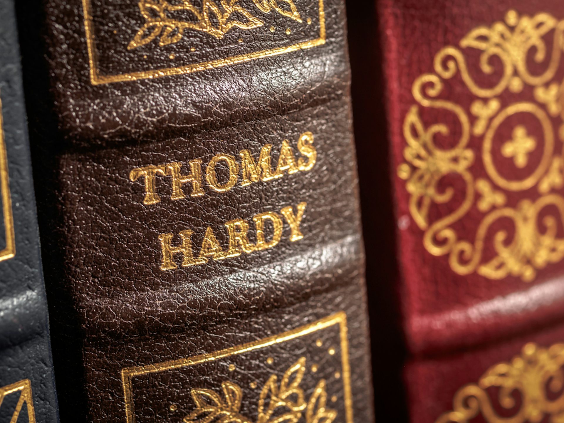 The Thieves Who Couldn't Help Sneezing by Thomas Hardy | At the