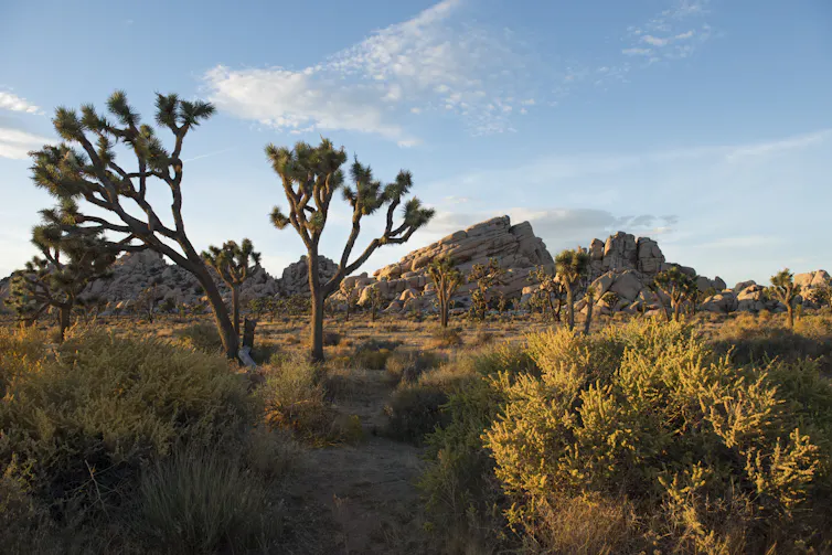 File 20181220 103641 1i3ly70.jpg?ixlib=rb 1.1