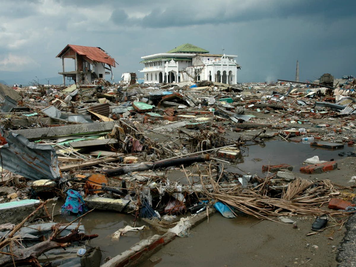 setelah 14 tahun tsunami aceh saatnya kata smong masuk kosakata bahasa