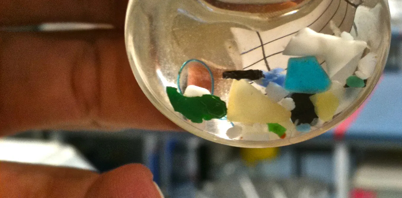 Plastify Take a stand on Oceans Day and de-plastify your life