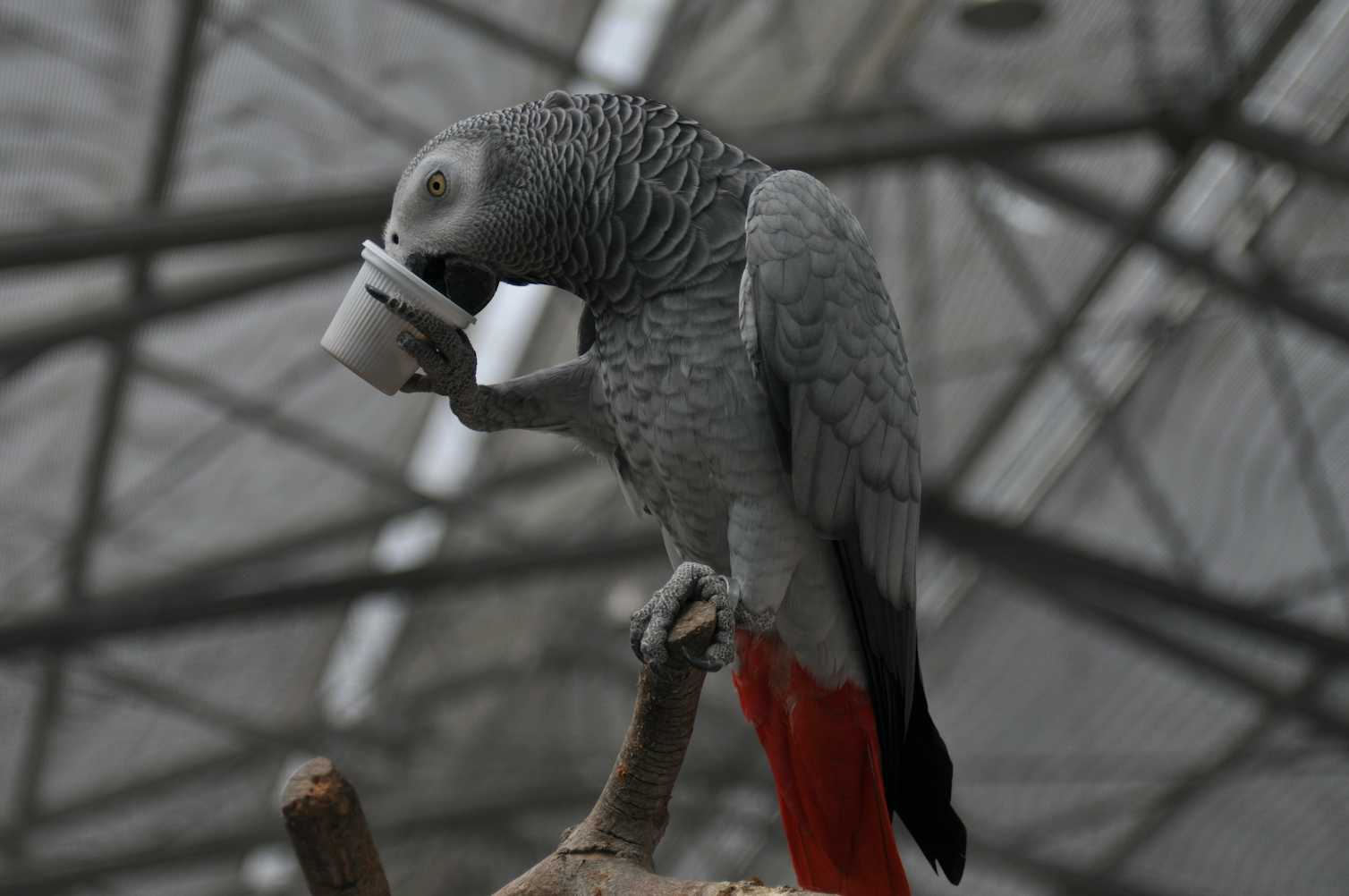 Жако ул победы 10 фото Жако ул победы 10 фото