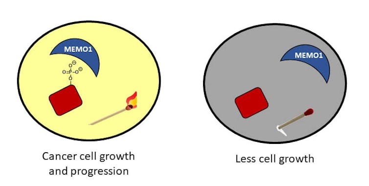 The deadly, life-giving and transient elements that make up group 15 of the periodic table