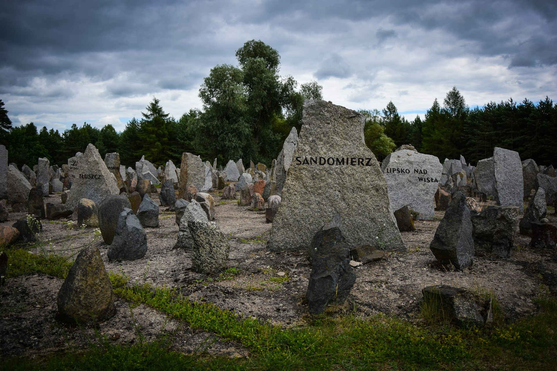 Holocausto Lo Que Muestran Las Cifras Del Genocidio Nazi