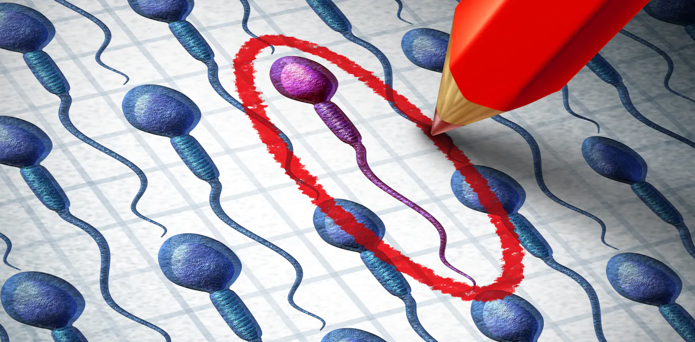 Sperm Cramps Meaning In Tamil Sperm Cramps Meaning In Tamil