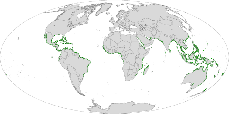 Mapping the world's 'blue carbon' hot spots in coastal mangrove forests