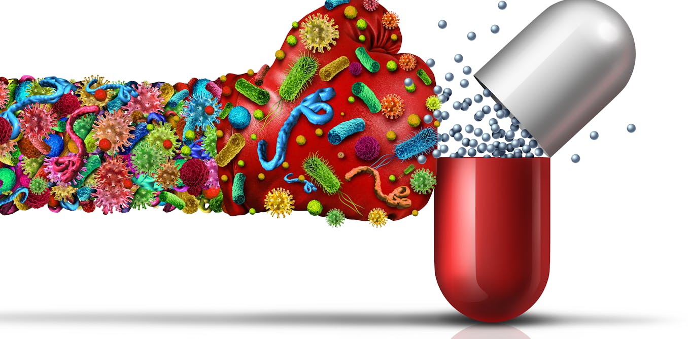 How to train the body's own cells to combat antibiotic resistance