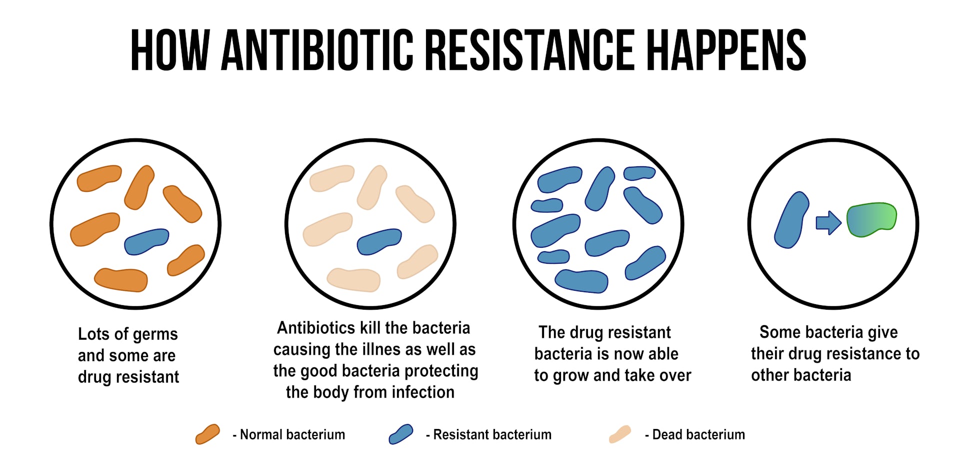 How To Train The Body's Own Cells To Combat Antibiotic Resistance