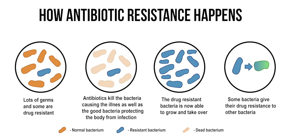 The Growth Of Antibiotic Resistance