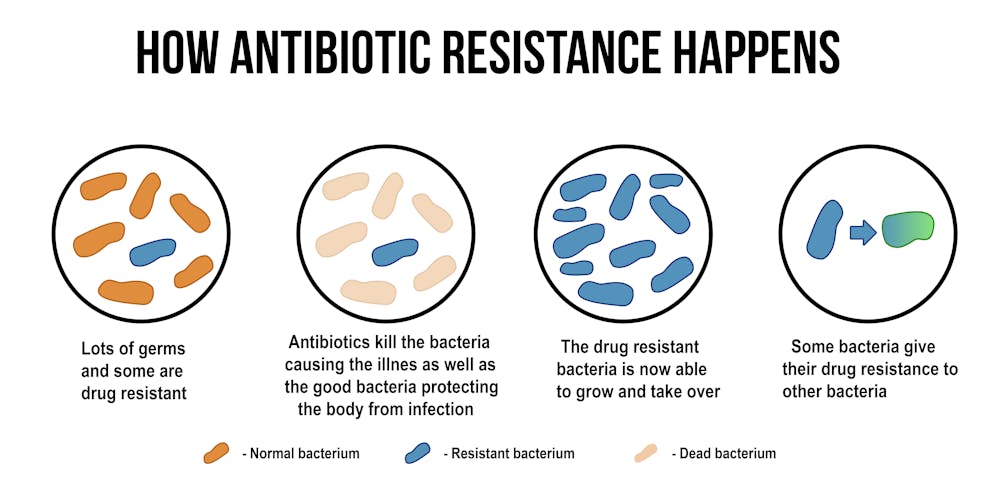 Antibiotic Resistance 