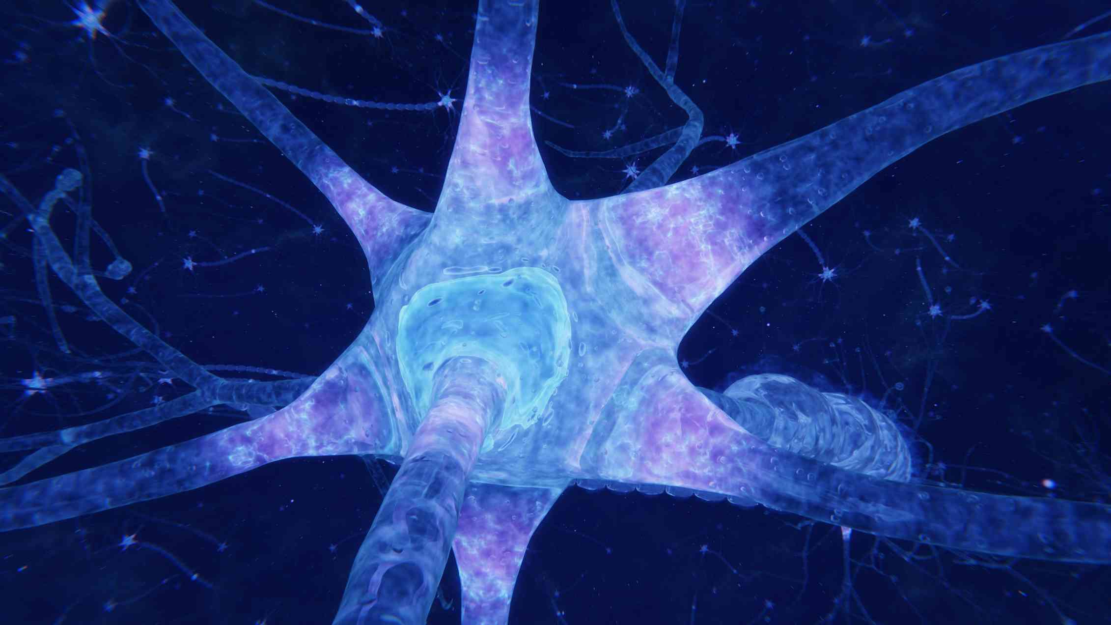 A memory pill? Cognitive neuroscience's contributions to the study of ...