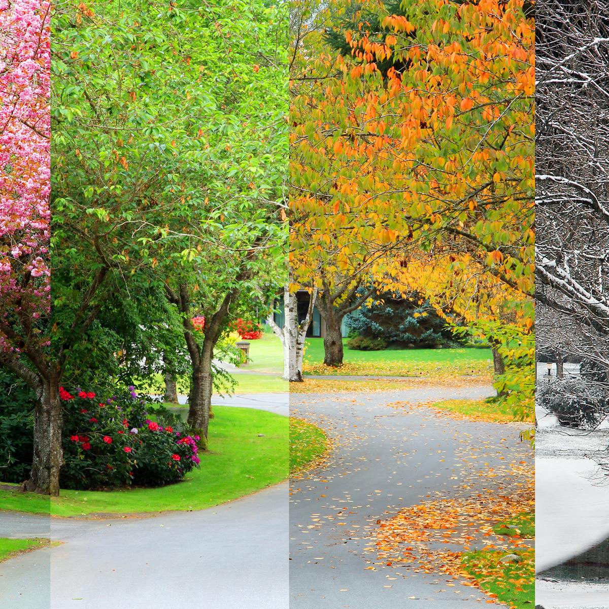 Curious Kids Why Are There Different Seasons At Specific Times Of The Year