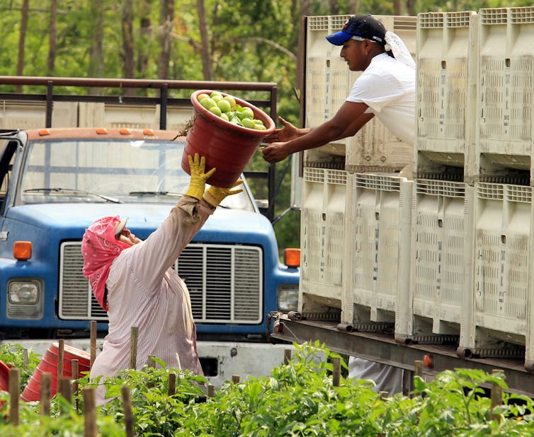 How Central American migrants helped revive the US labor movement