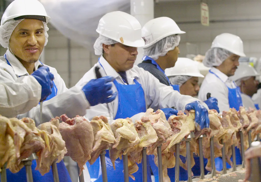 Good Labor How Central American Migrants Helped Revive the Us Labor Movement - The ...
