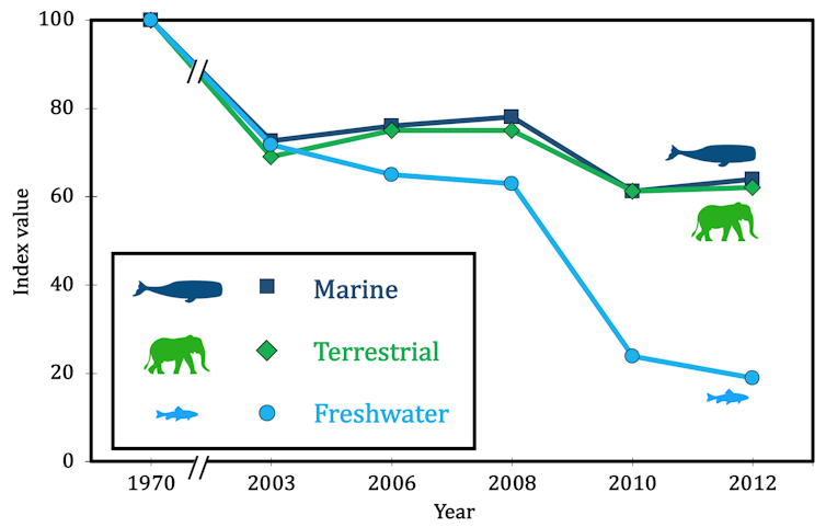 Freshwater wildlife face an uncertain future