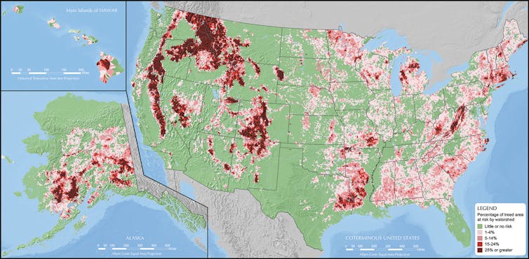 Can genetic engineering save disappearing forests?