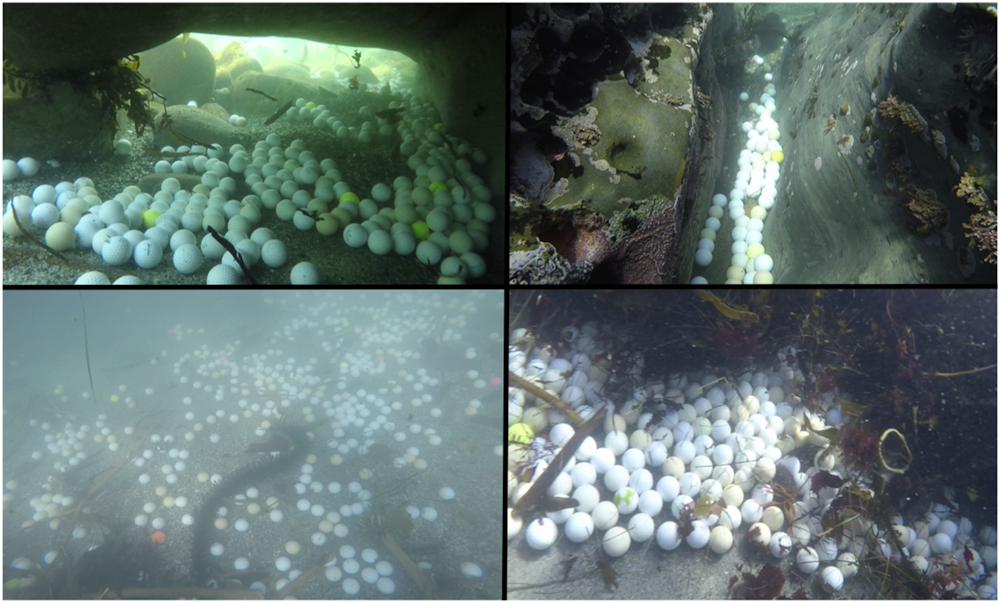 A teen scientist helped me discover tons of golf balls polluting the ocean