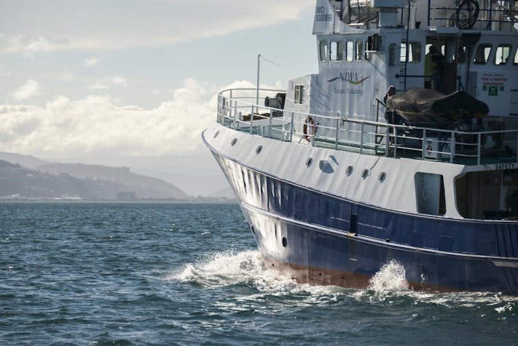 Coastal seas around New Zealand are heading into a marine heatwave, again