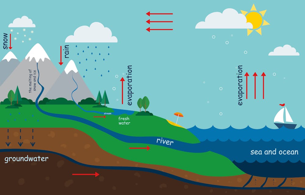 Image result for water cycle for kids