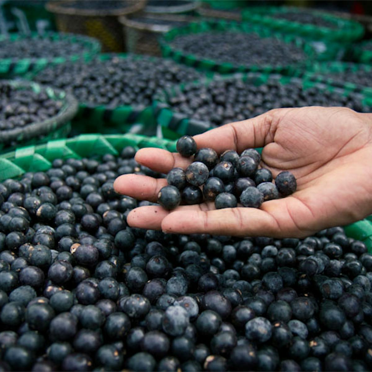 Superfoods Not So Super After All