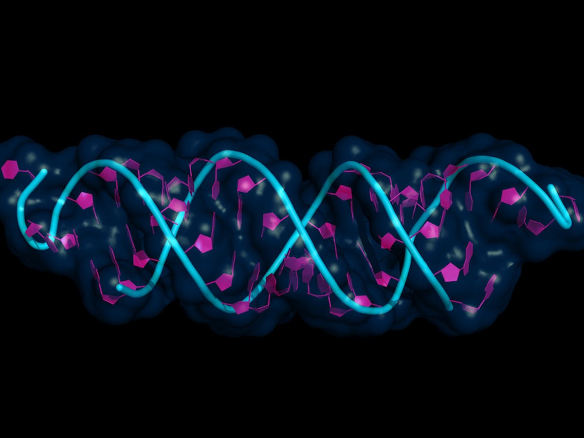 Epigenetics What Impact Does It Have On Our Psychology