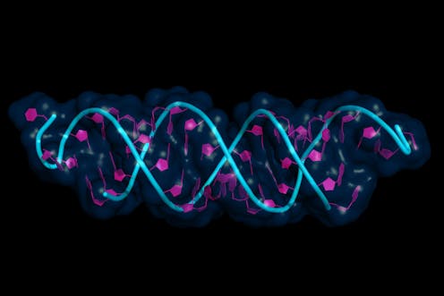 Gene Expression Patterns May Underlie >> Epigenetics What Impact Does It Have On Our Psychology Gene Expression Patterns May Underlie >> Epigenetics What Impact Does It Have On Our Psychology