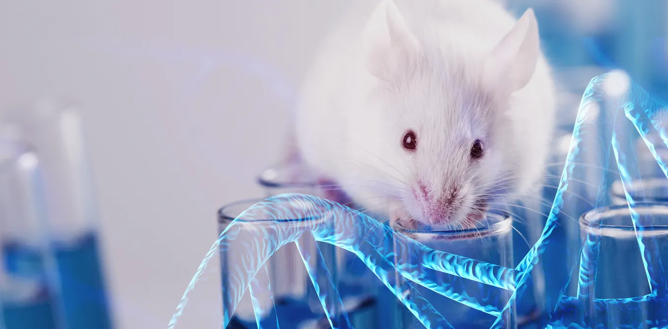 Mouse Off Spring Gene drive technology makes mouse offspring inherit specific traits ...