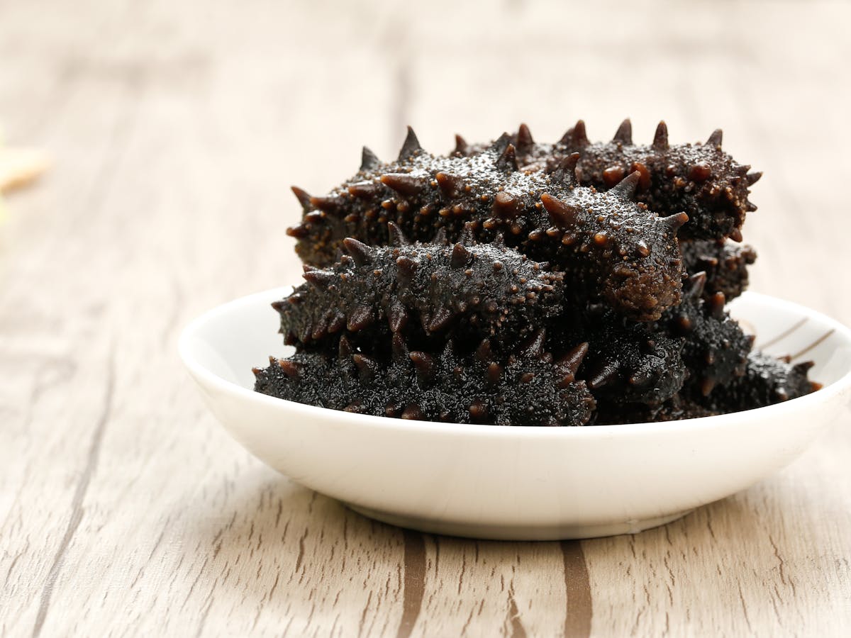 Throw A Sea Cucumber On The Barbie Australia S Trade History Really Is Something To Celebrate