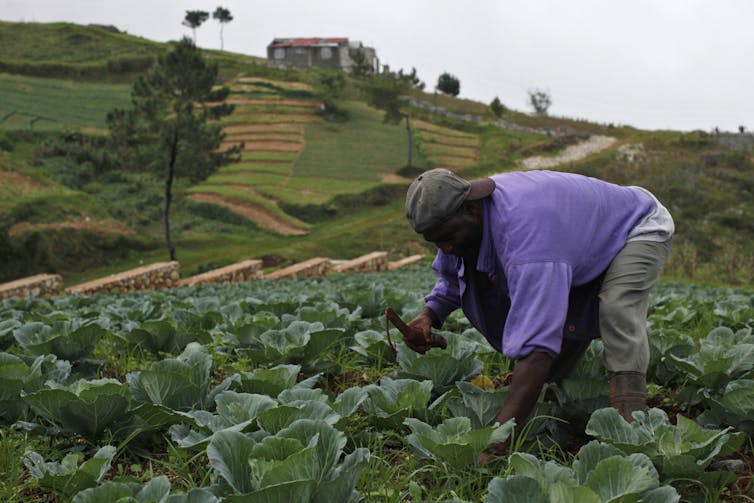 In Haiti, climate aid comes with strings attached