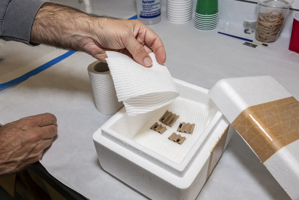 Packing Butterfly Live cargo: How scientists pack butterflies, frogs and sea turtles for ...