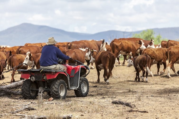 To predict droughts, don't look at the skies. Look in the soil... from space