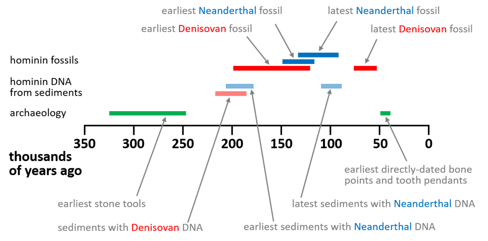 timeline for the archaeology of sediments at Denisova Cave