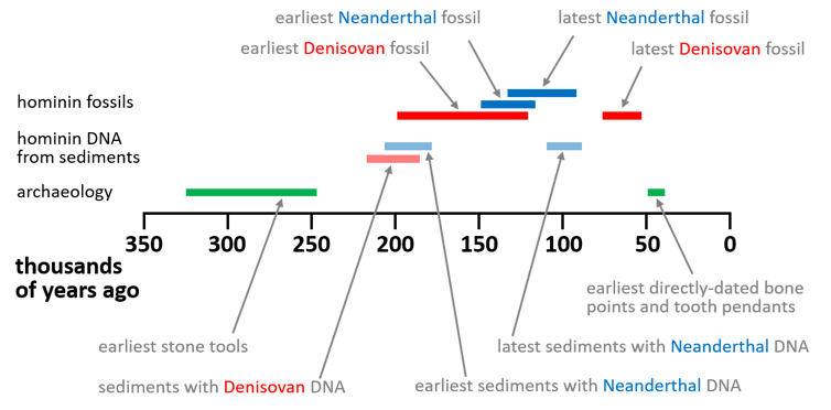 Fresh clues to the life and times of the Denisovans, a little-known ancient group of humans