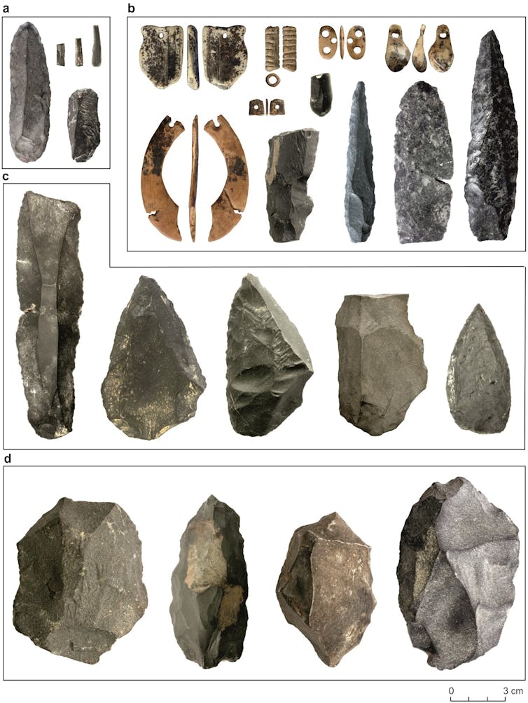 Fresh clues to the life and times of the Denisovans, a little-known ancient group of humans