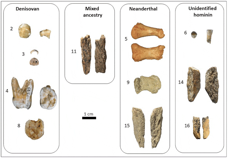 Fresh clues to the life and times of the Denisovans, a little-known ancient group of humans