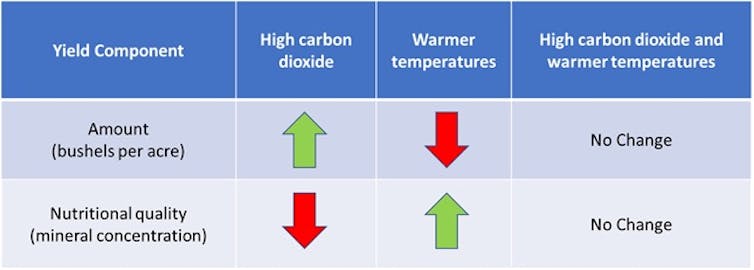 Together, more heat and more carbon dioxide may not alter quantity or nutritional quality of crops