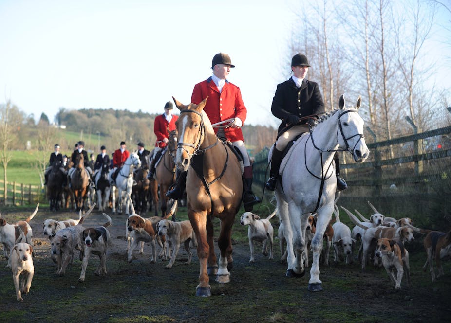 No wonder fox hunting is still prevalent - the ban is ...