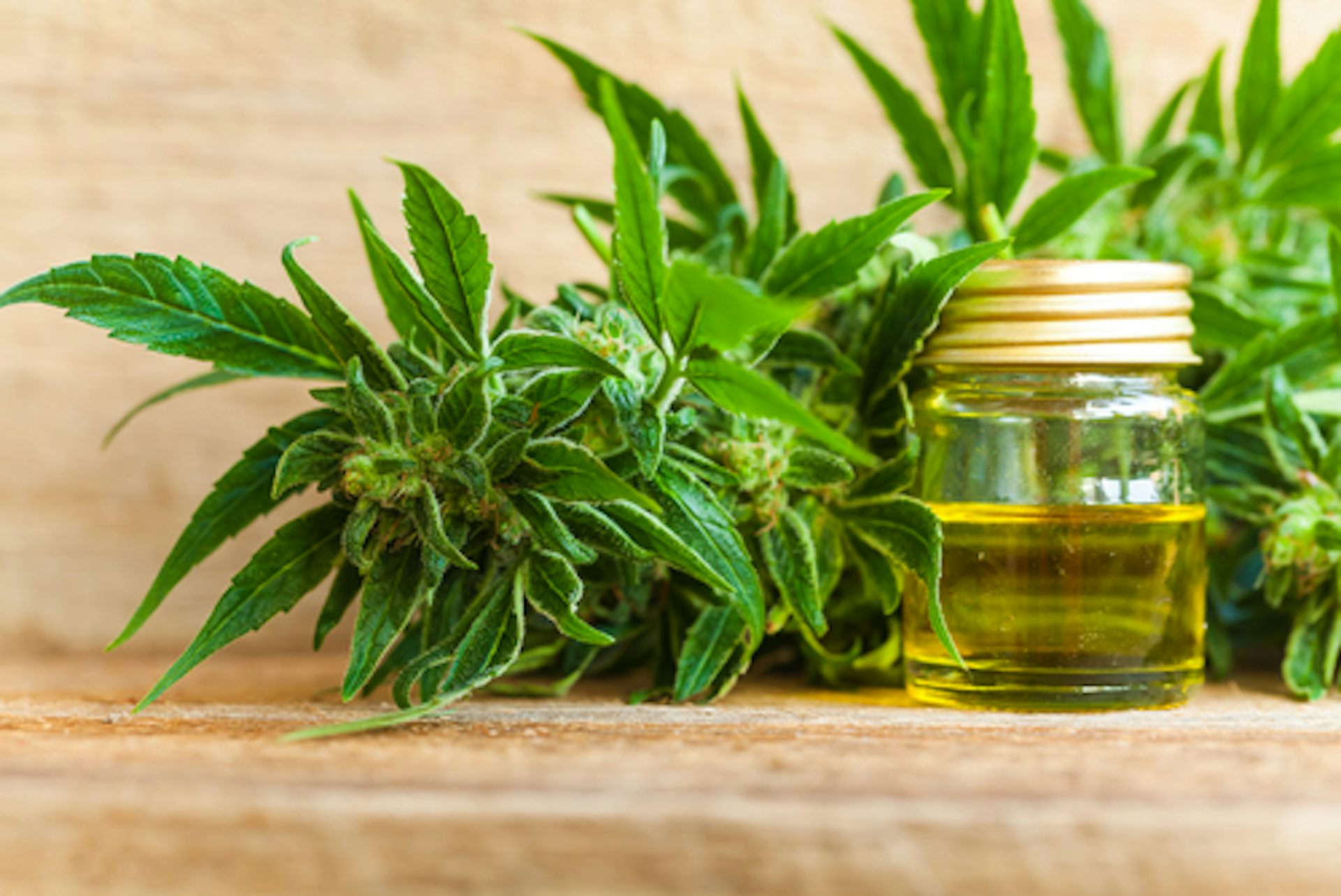 is cbd oil good for diabetes