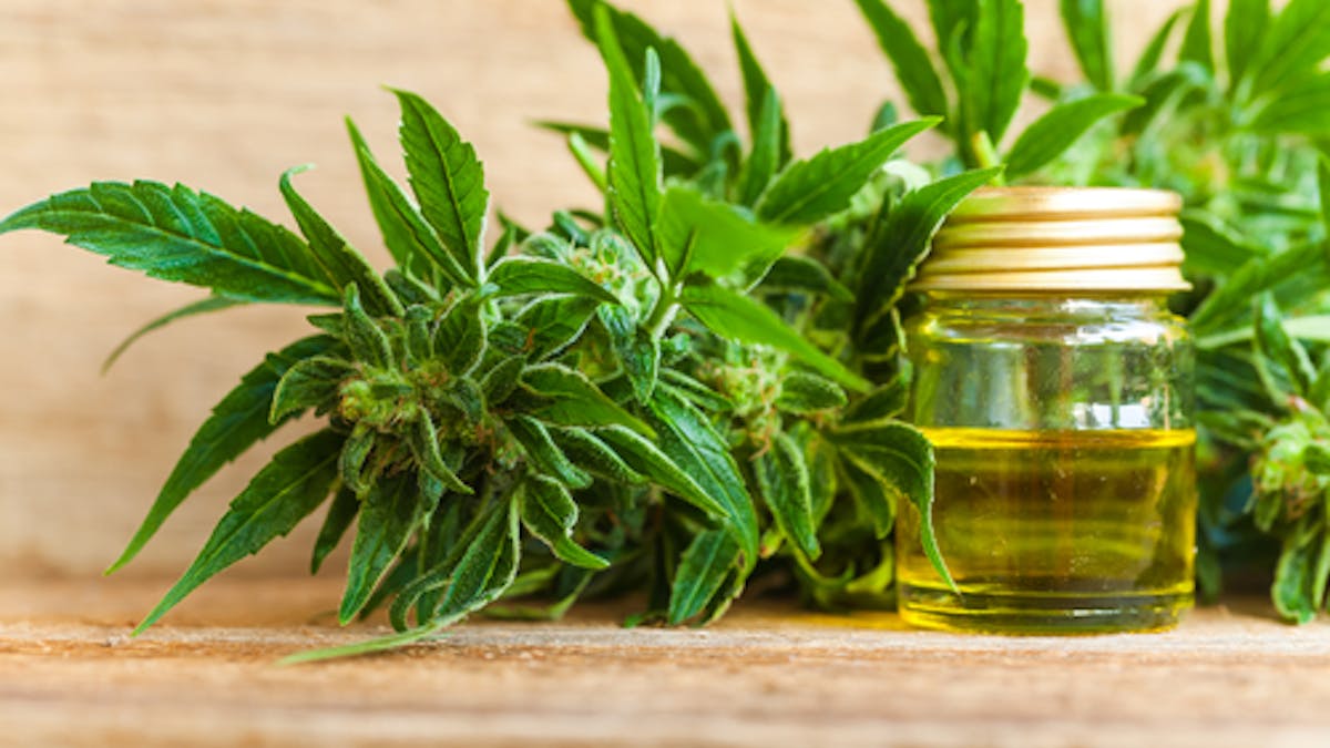 CBD Cream