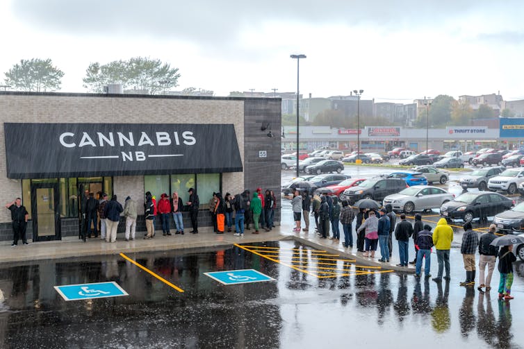 History, not harm, dictates why some drugs are legal and others aren't