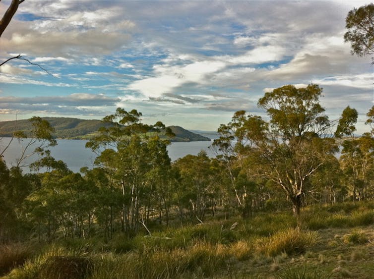 lost and found in the Tasmanian bush