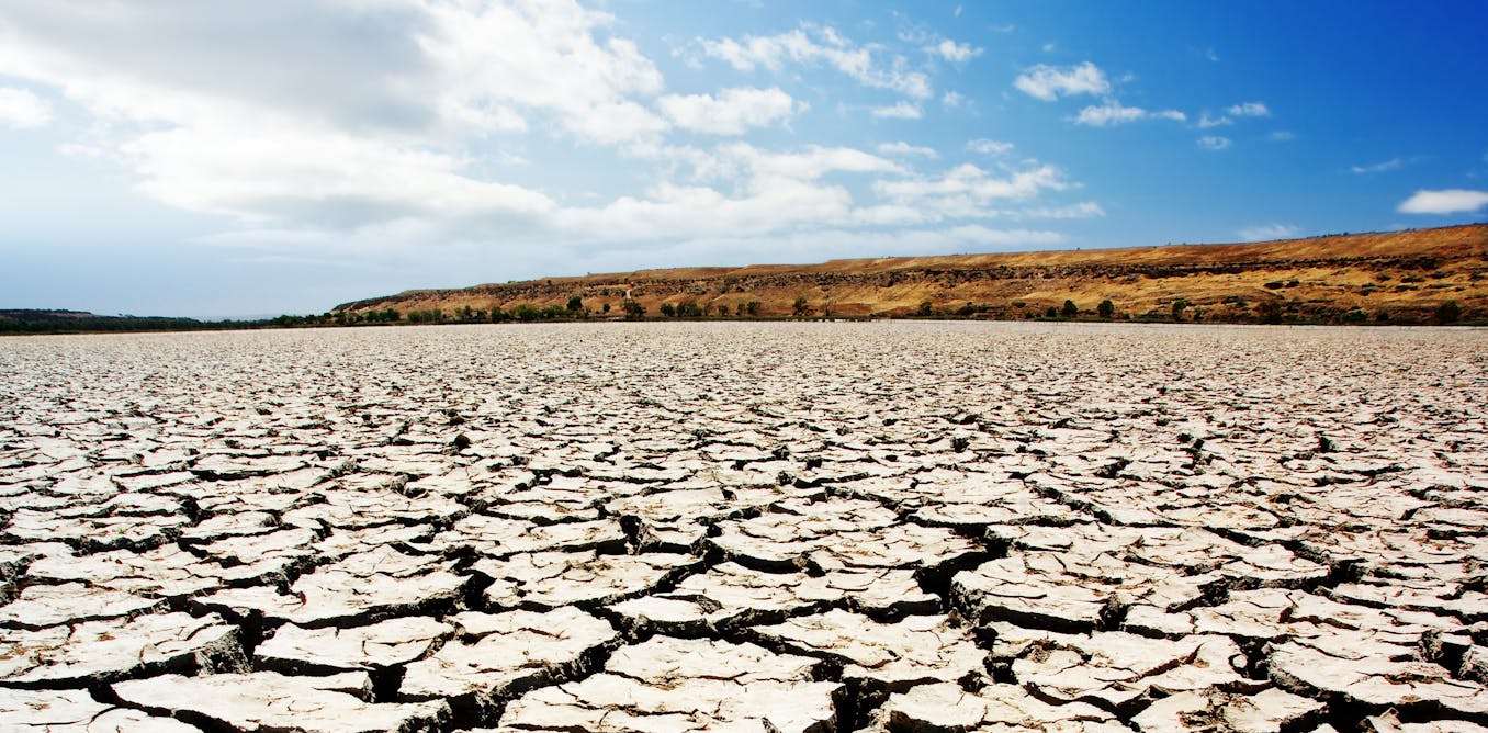 How drought affects freshwater fish